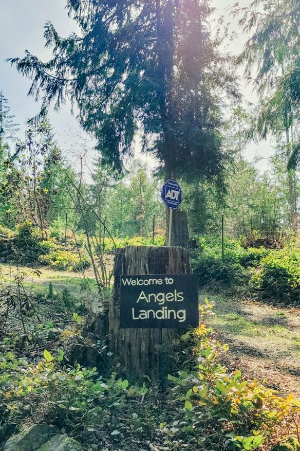 Port-Angeles-Vacation-Rental-Group-Family-Retreat-Forest-Hike