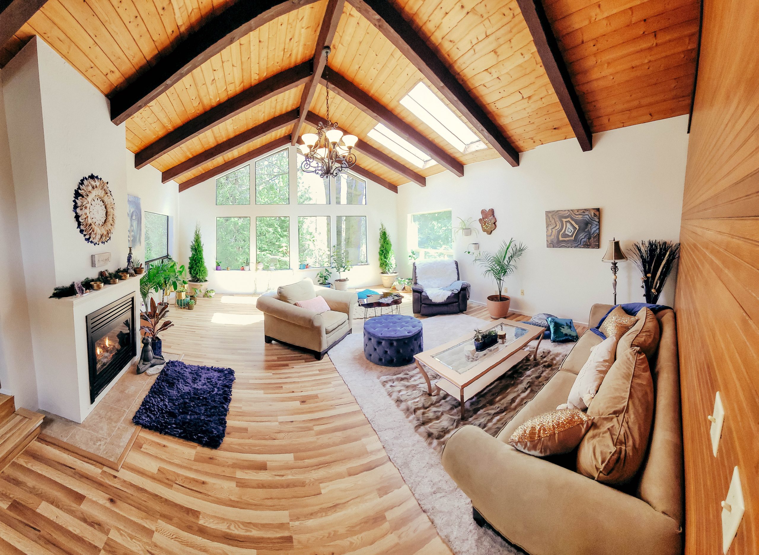 Vacation-Rental-Port-Angeles-Washington-Forest-Olympic-National-Park-Hurricane-Ridge-Forest