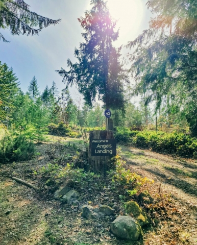 Port-Angeles-Vacation-Rental-Airbnb-Washington