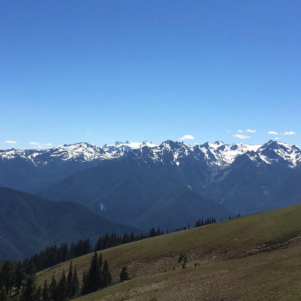 port-angeles-washington-vacation-rental-olympic-national-park-hurricane-ridge